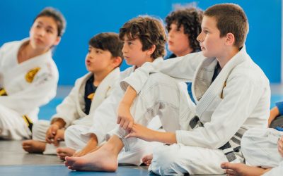 Submit the Bullying – BJJ SKILLS